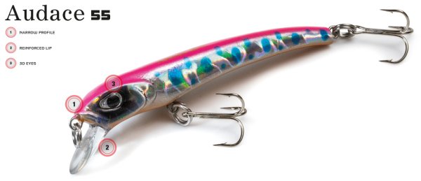 Molix Audace 55 Sinking - 5.5cm. #198 MX Pink Back