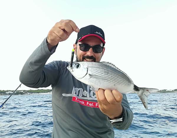 Molix Audace 55 Sinking - 5.5cm. #198 MX Pink Back