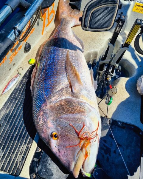 NOG Slider Yedek Etek Renk 06