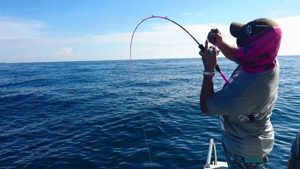 SAME Falling Slow Pembe Tetiksiz FJ-622S-H 1.89m 60-280gr. Jig Olta Kamışı