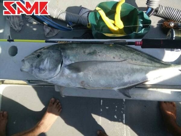 SAME Light Power Game Jigging LPGS-66MH  1.98m 20-80gr. Jig Olta Kamışı