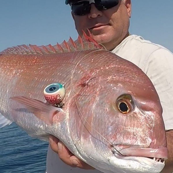 Melek Gözü Angel Eyes 230gr. SQUID