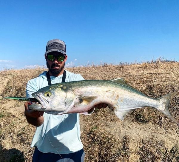 Jack Fin Stylo 175 Sahte Yem Kuda Killer