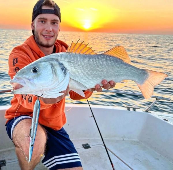 Jack Fin Stylo 175 Sahte Yem Saury ''Özel Renk''