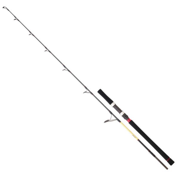 Daiwa Grandwave Jigging 168cm 100-300gr Jig Kamışı (GWJG562XHBOSBF)