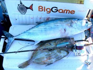 Tailwalk Salty Shape Slow Jigging Kamışı C63/150  190cm. Max. 160gr.