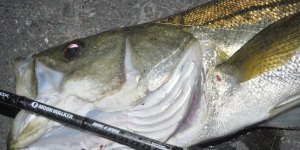 Tailwalk MoonWalker 106M-ti Surf Seabass 323cm. 14-45gr.