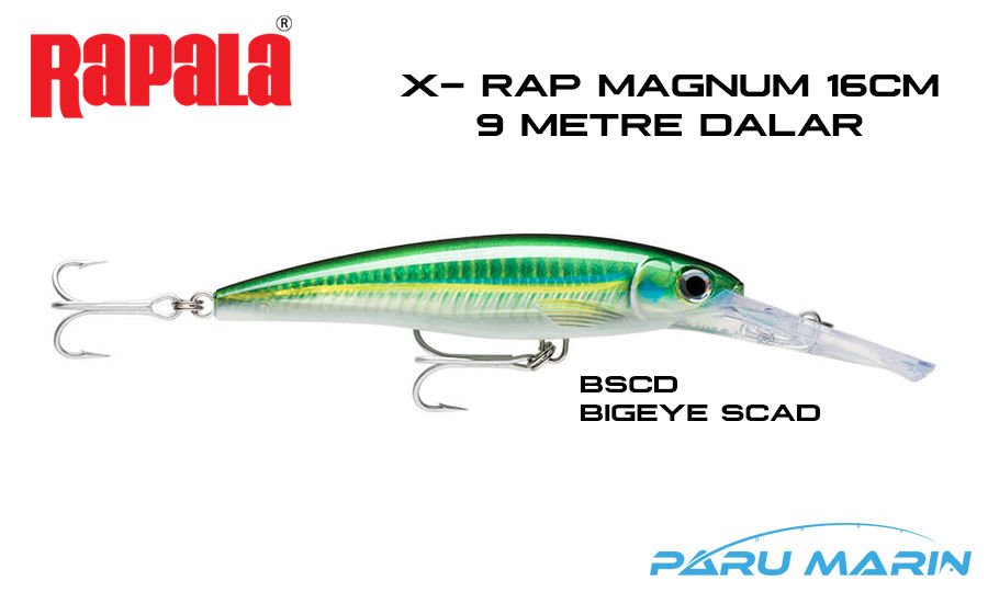 Rapala X-Rap Magnum-30, 16cm Gövde, Sahte Balık BSCD - BIGEYE SCAD