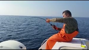Tailwalk Salty Shape Dash SPJ 636 Slow Pitch Jerk Kamışı 190cm. Max. 550gr.