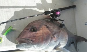 Tailwalk Salty Shape Tai Rubber Kamış  68M/FSL Spin 203cm. Vertical Max. 100gr. Casting Max. 50gr.