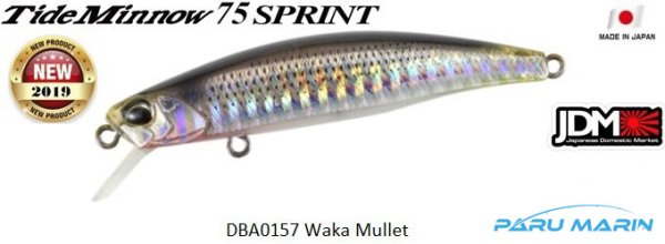 Duo Tide Minnow 75 Sprint DBA0157 / Waka Mullet