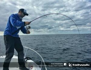 Tailwalk Salty Shape Dash Offshore Casting Kamış 80M  243cm. Max. 75gr.