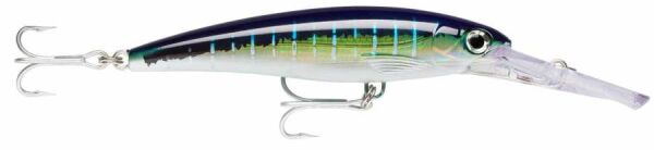 Rapala X-Rap Magnum-20, 14cm Gövde, Sahte Balık SFU - SAILFISH UV