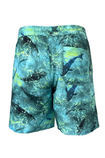 Stafu Pro Latitude Swim Short Mayo - Shark - Lime