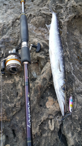 Duo Drag Metal Cast Jig 20Gr. PDA0002 / Rainbow