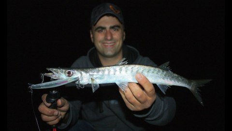 Savage gear Sandeel Jerk Minnow 145 14g - 06-Pink Flash