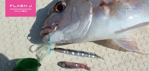 Fish Arrow Flash J Shirasu 7.5cm SW #110 Clear Silver Sahte Balık