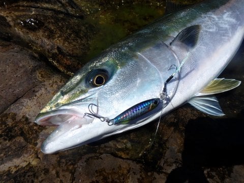 Duo Drag Metal Cast Slim Jig 30gr. PJA0210 / Shirasu