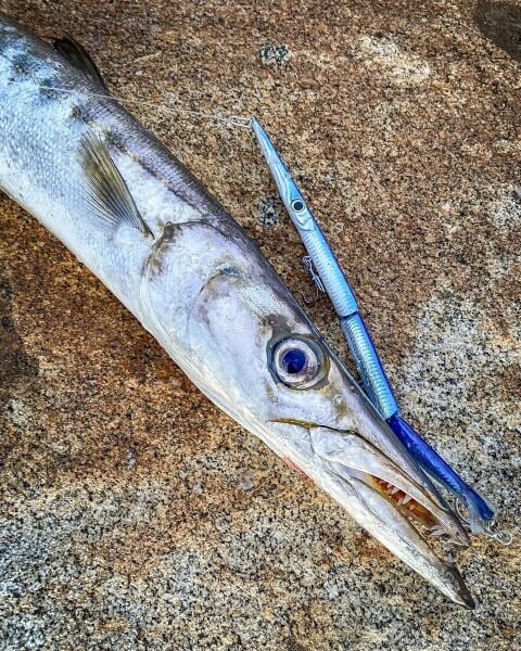 Jack Fin Stylo Jointed 255 Sahte Yem UV Chrome