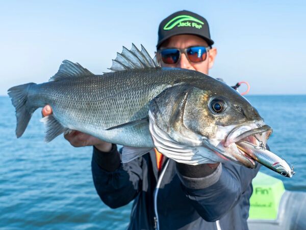 Jack Fin Salty Dog 85 Sahte Yem Pink Fluo