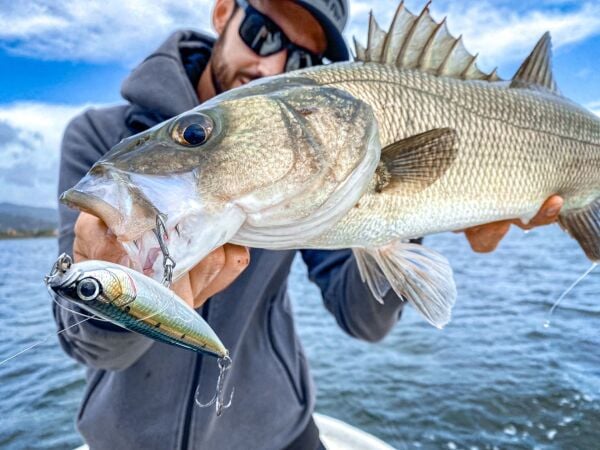 Jack Fin Salty Dog 85 Sahte Yem Lagoon