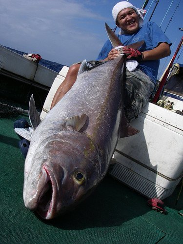 Zenaq Fokeeto FS53-8 Jig Kamışı  160 cm. Max. 300 g.