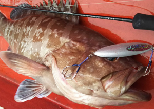 Zenaq Fokeeto FB62-4 Slow Jigging Ikari kamış  188 cm. Max. 230 g.