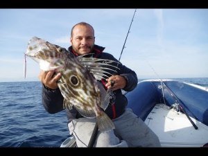Zenaq Fokeeto Whippy FS54-8 Jig Kamışı  162 cm. Max. 300 g.