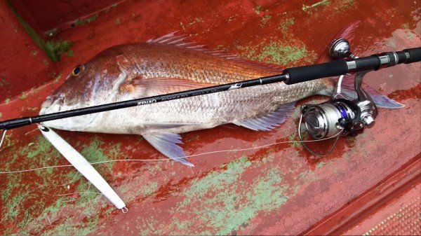 Zenaq Fokeeto Whippy FS54-8 Jig Kamışı  162 cm. Max. 300 g.