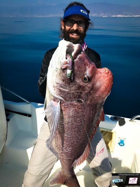 Fiiish BM120/3 BM639 2li Combo Shallow 6gr. Khaki Silikon Yem