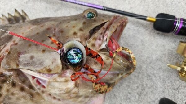 SAME Tai Rubber Sliding Kafa 400gr. #5 Octopus