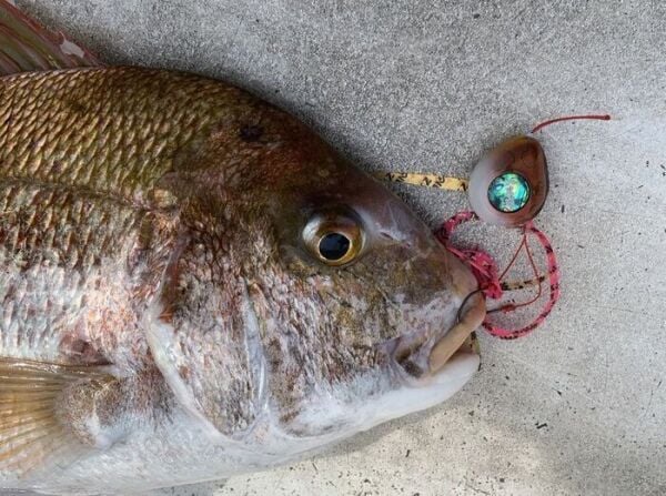 SAME Tai Rubber Sliding Kafa 400gr. #3 Green Gold