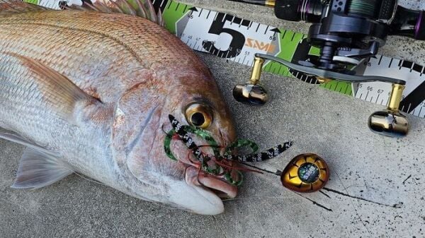 SAME Tai Rubber Sliding Kafa 300gr. #5 Octopus