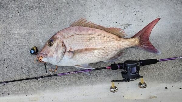 SAME Tai Rubber Sliding Kafa 300gr. #3 Green Gold