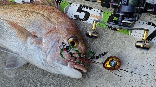 SAME Tai Rubber Sliding Kafa 250gr. #4 Pink Glow