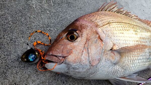 SAME SAMURAI TC. Tai Rubber Jig 120 gr. Seçenekli