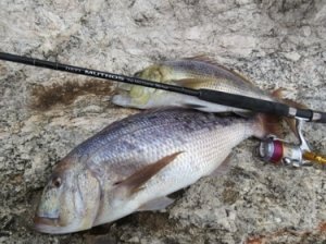 Zenaq Muthos DM Plug Special 110 K 335 cm. 16-70 g.