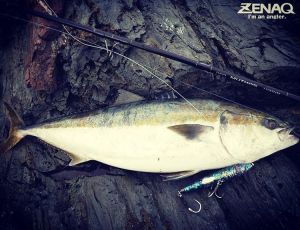 Zenaq Muthos DM 100HH Bait 305 cm. 45-180 g.