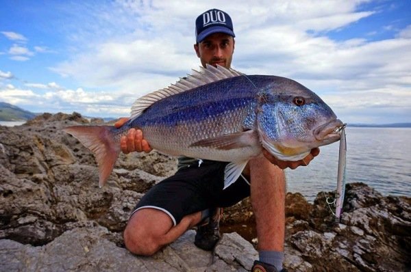 Duo Press Bait Saira ADA0150 / Dorado HD