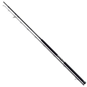 Zenaq Muthos DM Accura 100HH K 305 cm.  60-230 g.
