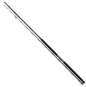 Zenaq Muthos DM Accura 100HH RG 305 cm.  60-230 g.