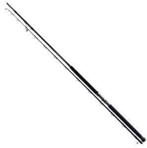 Zenaq Muthos DM Accura 100H RG 305 cm. 30-200 g.