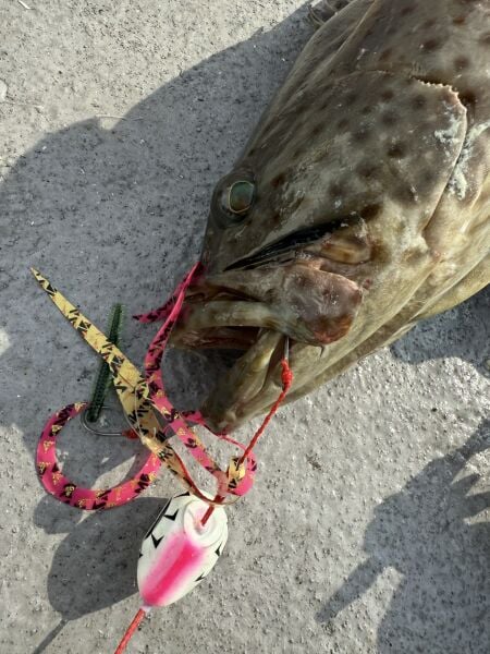 SAME SAMURAI Tai Rubber 2li Hazır Assist seti , Seçenekli