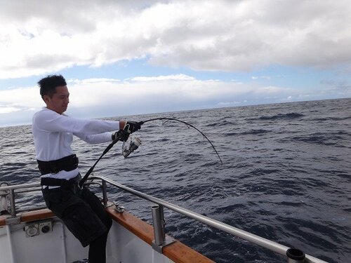 Jigging Master Evo Fallings Special 52BL 156cm 100-300gr. Tetikli Jig Kamış