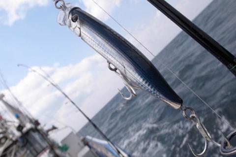 Tackle House Feed Popper 120 No:01 Maket Balık