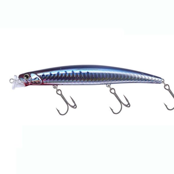 Duo Terrif Dc-12 Type 1 GFN0094 / Chigomori Sardine