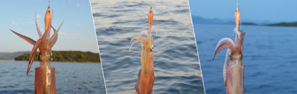 DTD Soft Real Fish 1.5 Serisi 55 mm. Red Glow