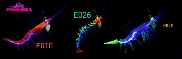 Pandora Caridina 6.5 Gr. - 76 mm Silikon Karides