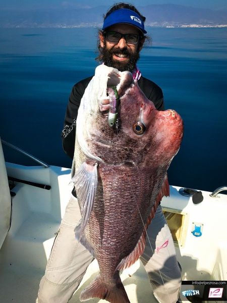 Fiiish BM140/4 BM3022 Combo Offshore 40gr. Pink Silikon