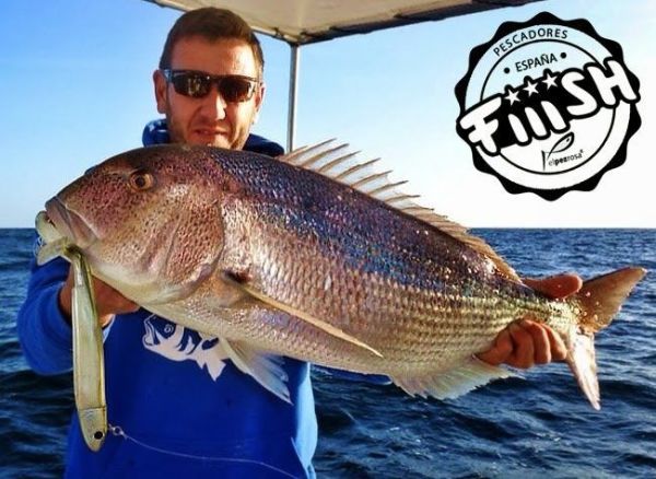 Fiiish BM140/4 BM3022 Combo Offshore 40gr. Pink Silikon